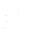 Twitter icon